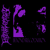 Beyond Recognition