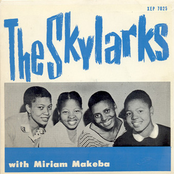 miriam makeba and the skylarks