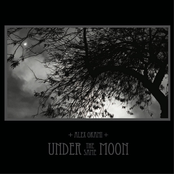 Under the Same Moon