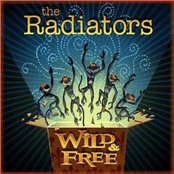 Songs From The Ancient Furnace by The Radiators