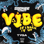 Vibe (If I Back It Up) - Single