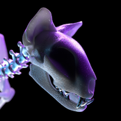 Darci: Long Days Away EP