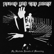 My Shadow Forests of Mourning