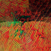 WOE.BEGONE: Music From the Soundtrack Season 1