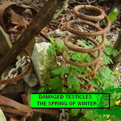 The Spring of Winter