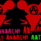 anarchy rat