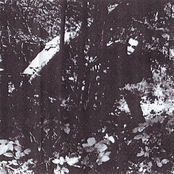 Ossea Cyphus / Accersitus ‎