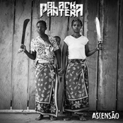 Black Pantera: Ascensão