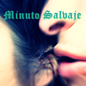 Minuto Salvaje