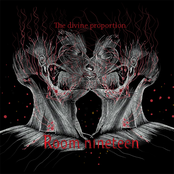 The Divine Proportion