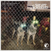Something About You by We Are Scientists