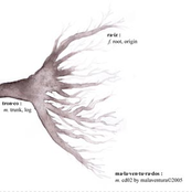 Malaventurados (2005)