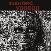 Elektric Voodoo