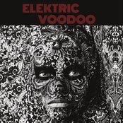 Elektric Voodoo: Elektric Voodoo