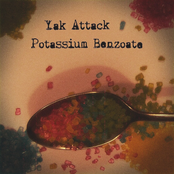 Potassium Benzoate