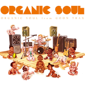 Sassafraz: Organic Soul