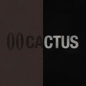 00CACTUS