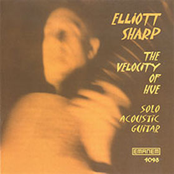 Nebel by Elliott Sharp