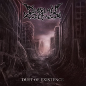 Dust Of Existence