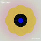 Roomtones: Can't Feel Real