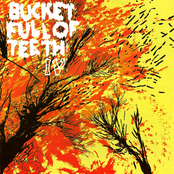 Imperfect Vibrations by Bucket Full Of Teeth