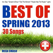 Best of Spring 2013 (Incl. Stay, Scream & Shout, Feel This Moment, People Help the People, Lights)