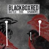 Violence by Blackboxred