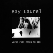 Where Pain Comes To Die by Bay Laurel