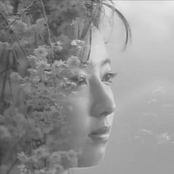 Finding Beauty In Everything