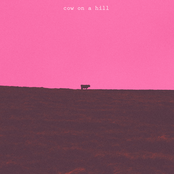 Cow On A Hill