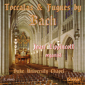 Toccatas & Fugues By Bach