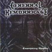 Remnants Of The Final Solution by Cerebral Hemorrhage