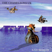 Men Of Steel by The Chameleons