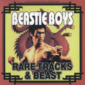 It's The New Style (intro Extended Mix) by Beastie Boys