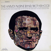 the harvey averne band