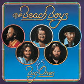 Blueberry Hill by The Beach Boys