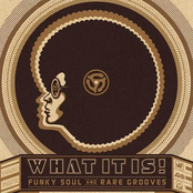 Funk Factory: What It Is! Funky Soul and Rare Grooves