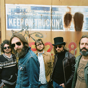 chris robinson brotherhood