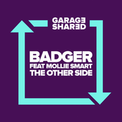 Badger: The Other Side