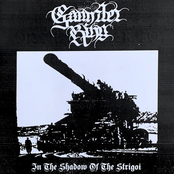 In The Shadow Of The Strigoi