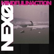 Mindfulinaction