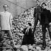 Cipher photo provided by Last.fm