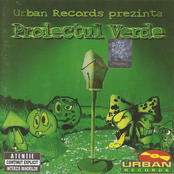 Proiectul Verde
