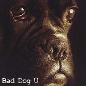 A Cure For Schizophrenia by Bad Dog U