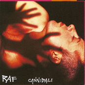 Cannibali by Raf