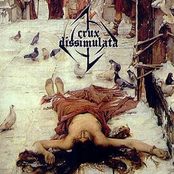 Les Lauriers Sont Coupés