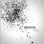 indukcia