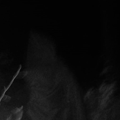 Gritos de Dor no Profundo Inferno