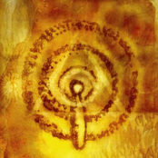 Seed Solar