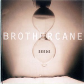 Brother Cane: Seeds